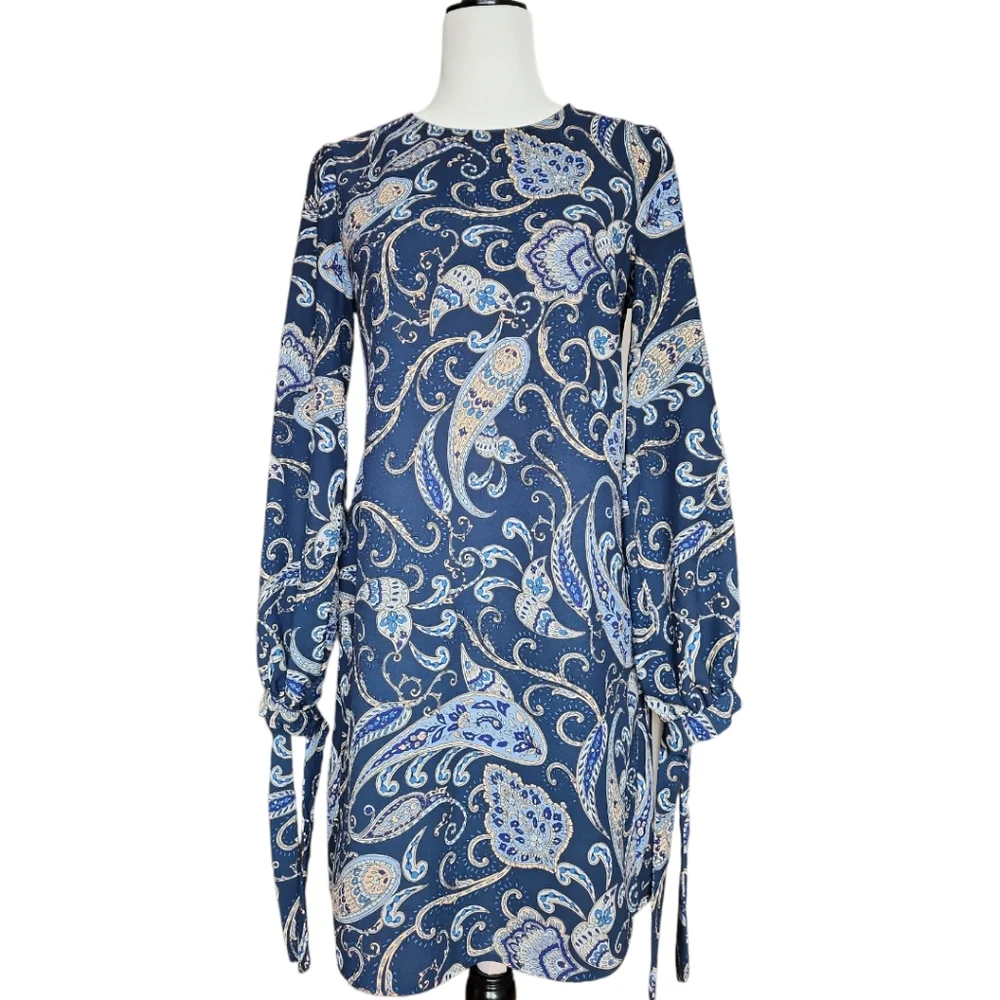ZARA Long Balloon Sleeves Dress - Picture 6 of 11